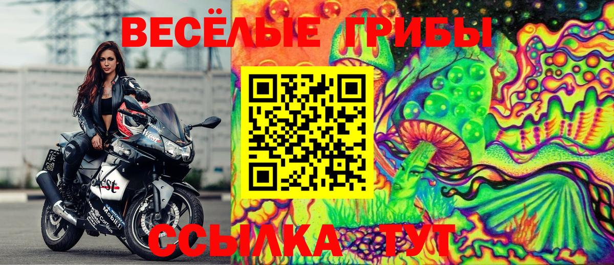 Псилоцибиновые грибы Psilocybe Верхняя Салда