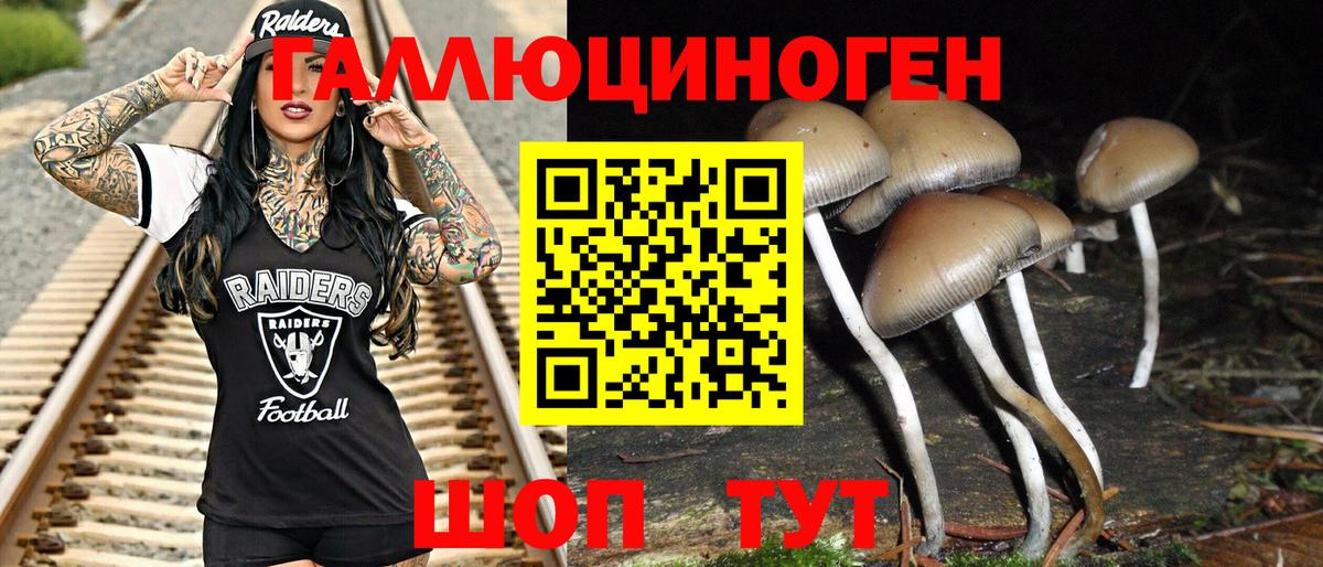 Галлюциногенные грибы Psilocybine cubensis  что такое   Верхняя Салда  Вход с VPN 
